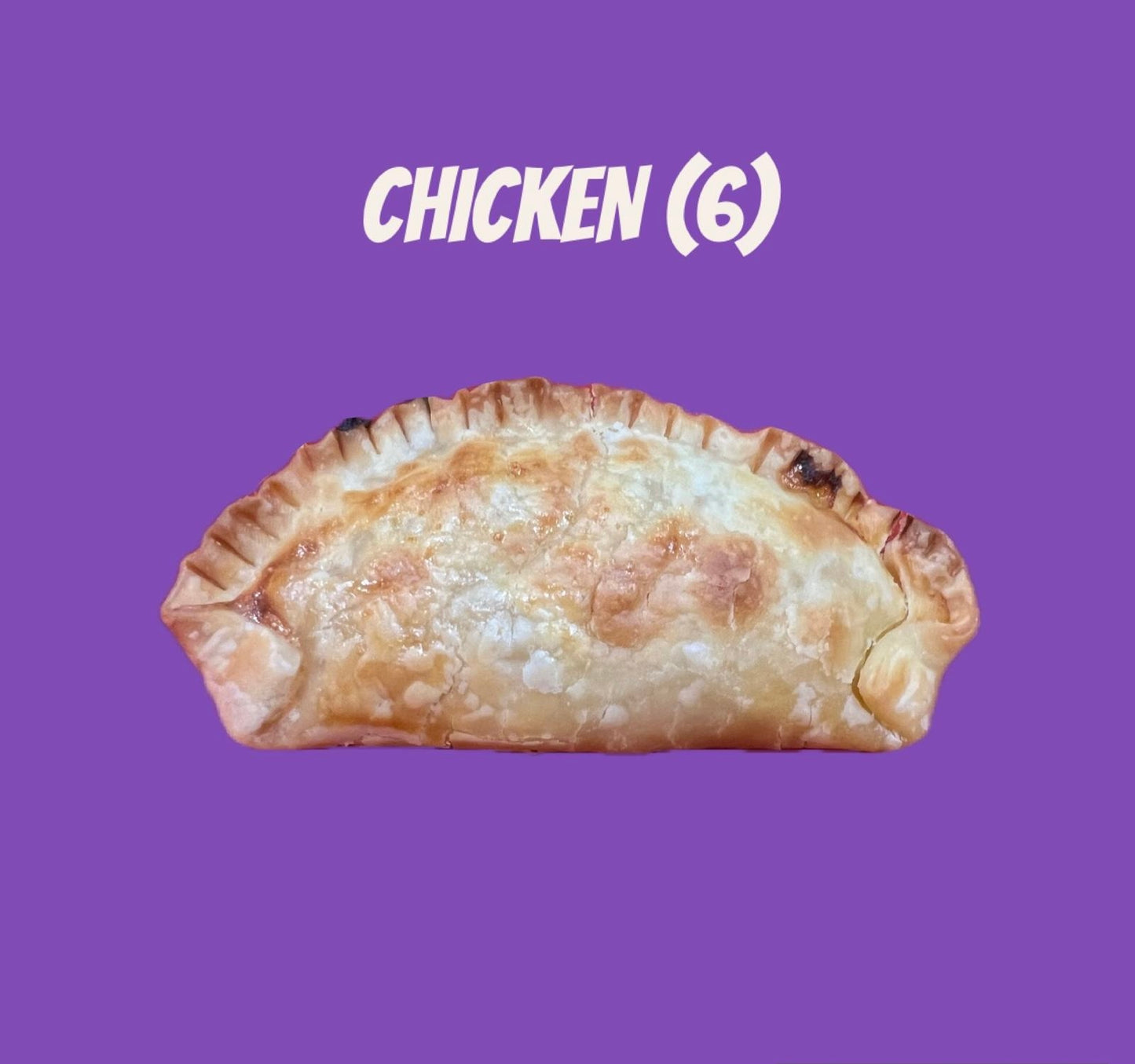 Chicken Empanada (6)