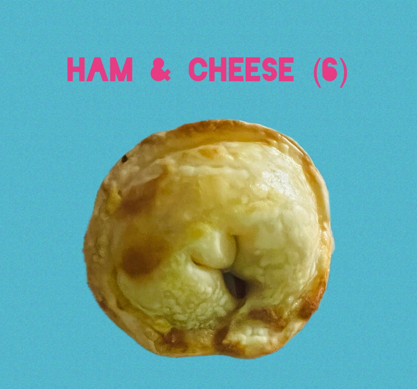Ham & Cheese Empanada (6)