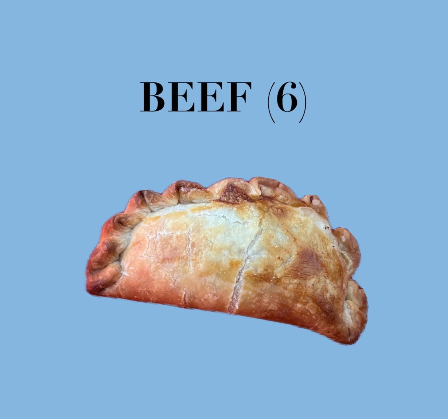 Beef Empanada (6)