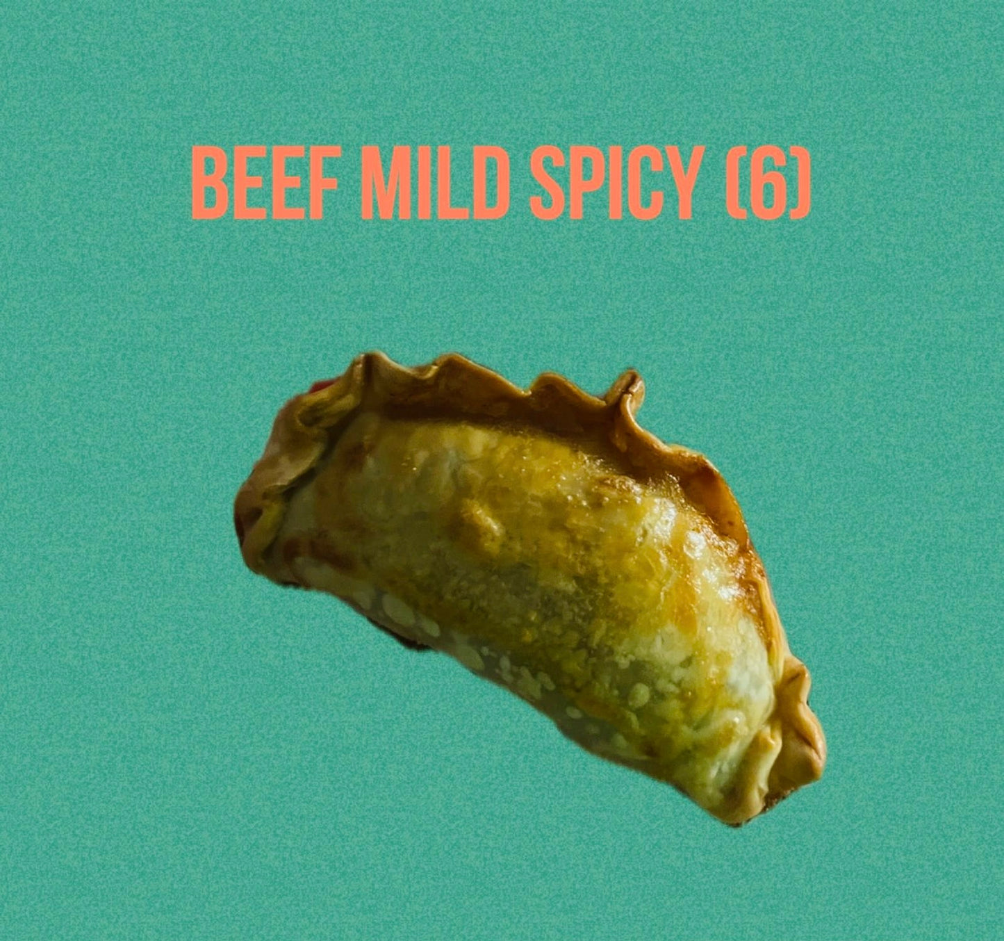 Beef Empanada Mild Spicy (6)