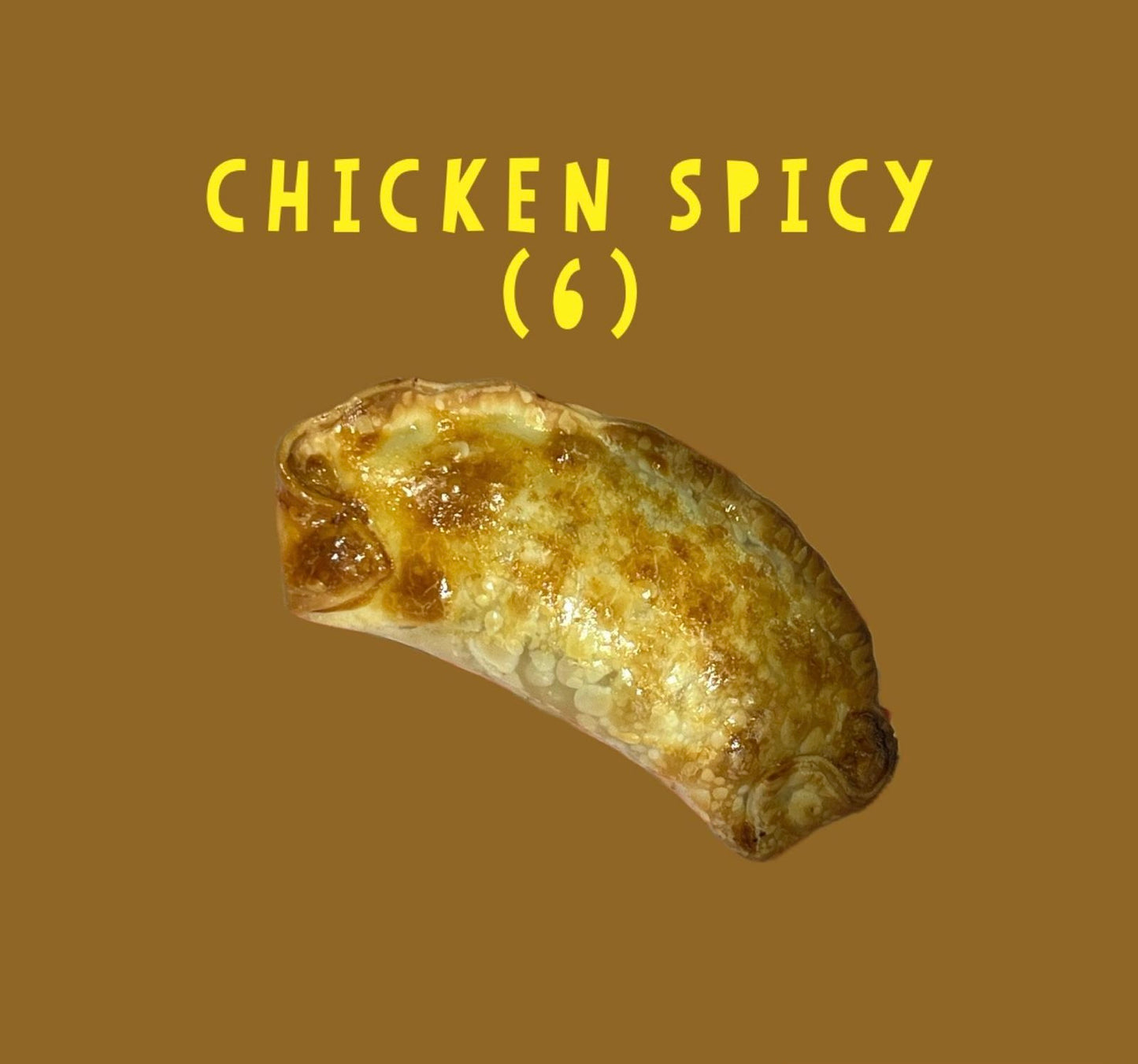 Chicken Empanada Spicy (6)