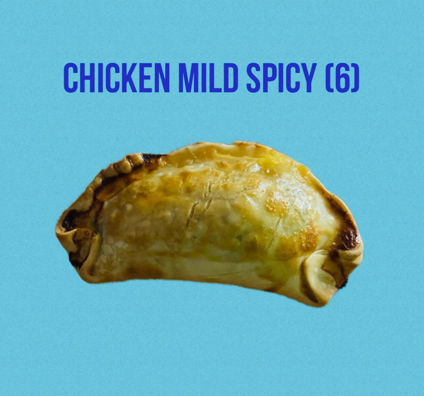 Chicken Empanada Mild Spicy (6)