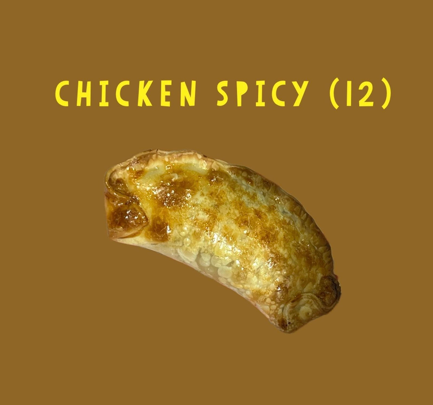 Chicken Empanada Spicy (12)