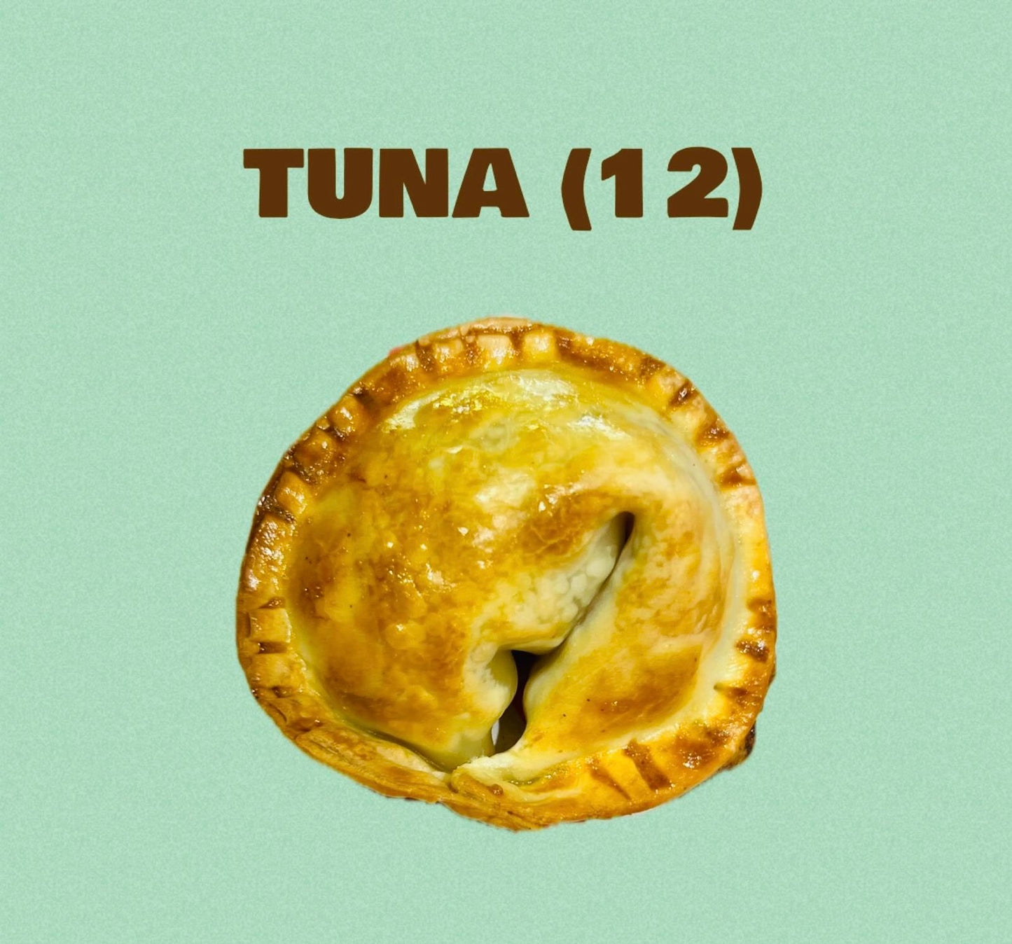 Tuna Empanada (12)